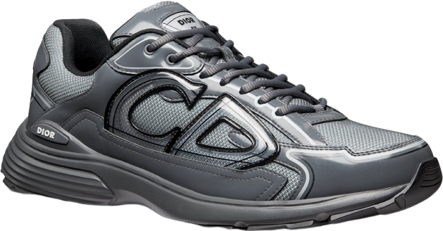 Sneaker Dior B27 Gris et Noir
