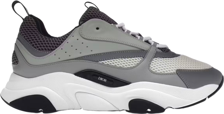 Dior B30 Sneaker Grise et Blanche