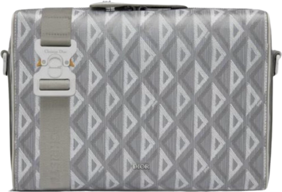 Dior Sac à Bandoulière Oblique Gris et Blanc