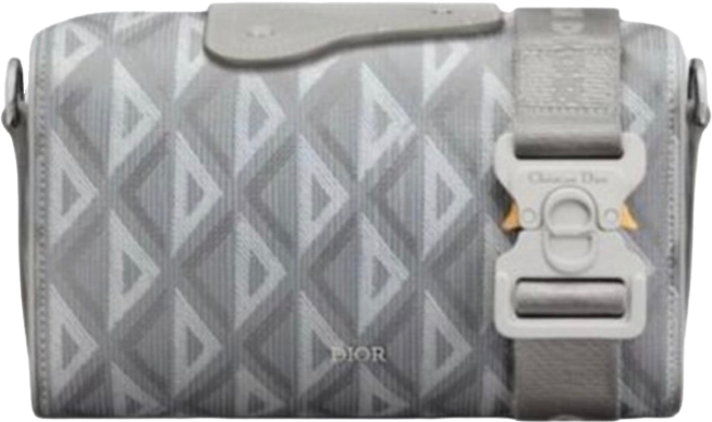 Dior Saddle Bag Oblique Canvas Gris