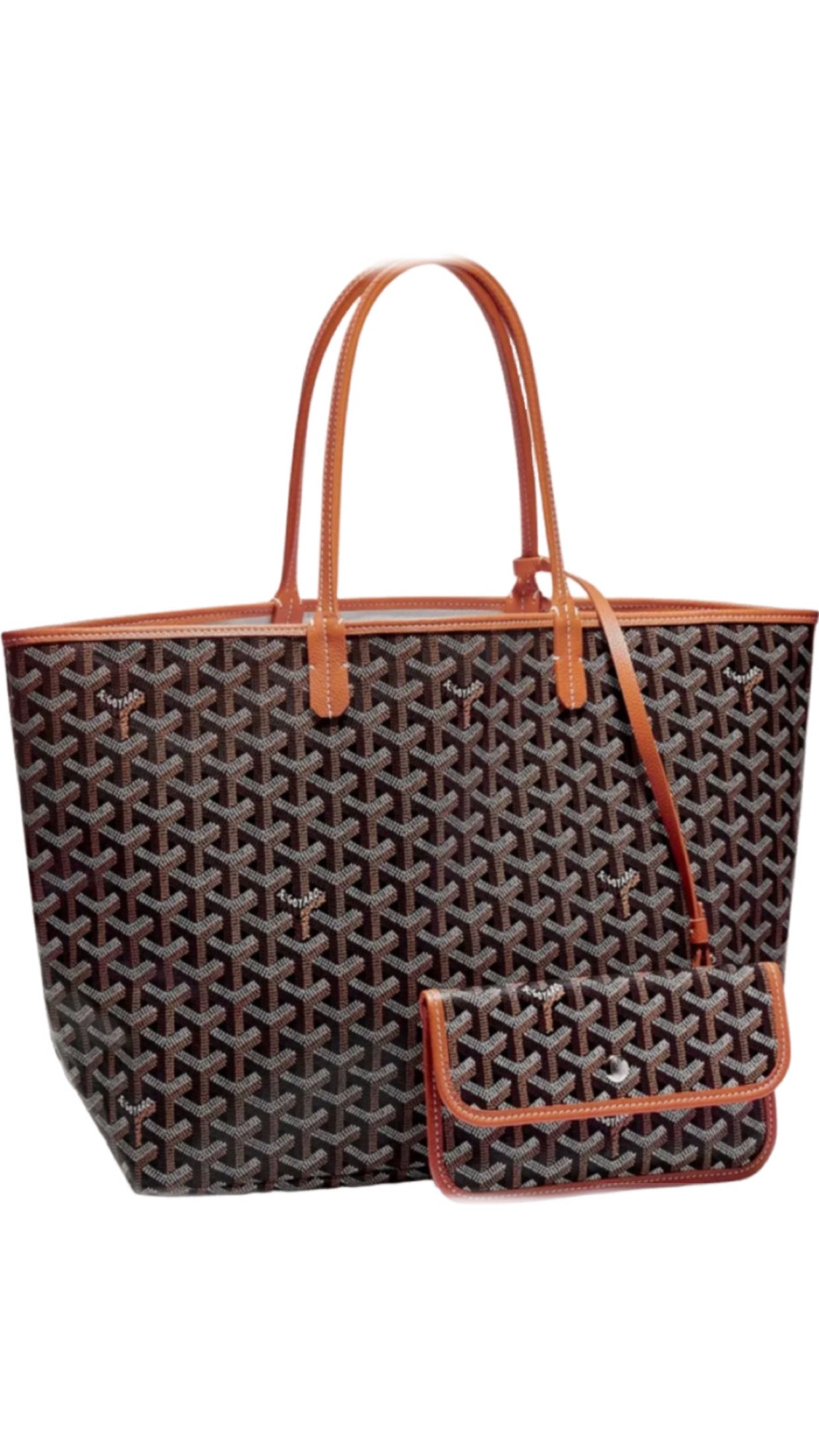 Sac Goyard Saint-Louis PM Toile Monogram avec Pochette