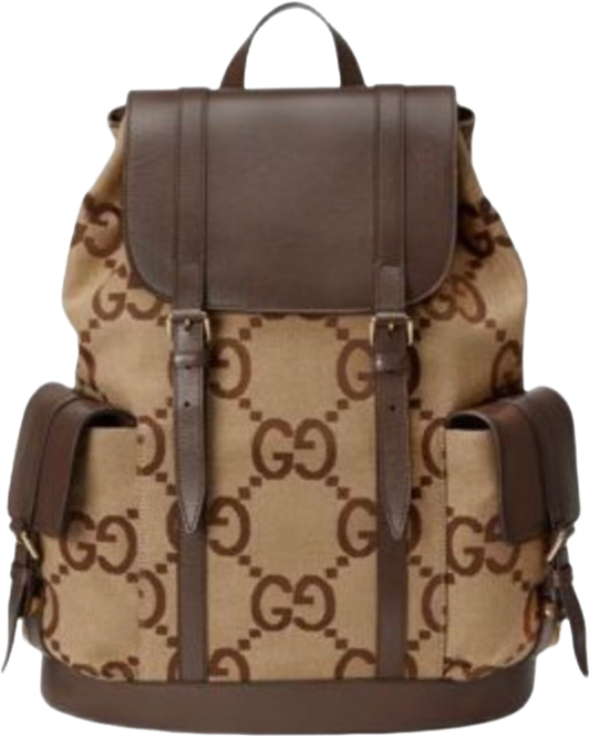 Gucci Sac à Dos GG Monogram Toile et Cuir Marron