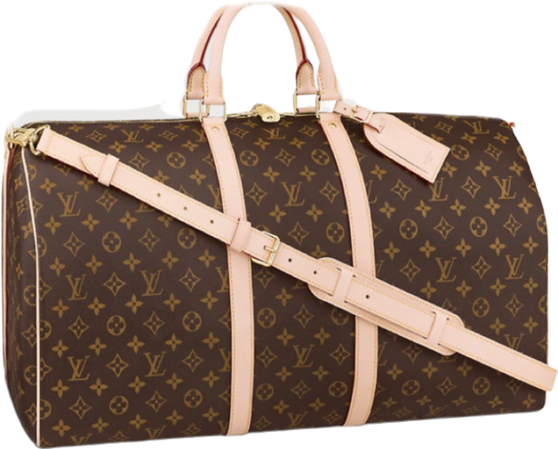 Sac Keepall 45 Toile Monogram